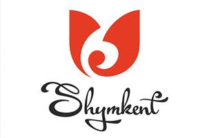 БІЛІМ БЕРУ ҰЙЫМЫНЫҢ БІЛІМ БЕРУ  ҚЫЗМЕТІН ҰЙЫМДАСТЫРУ БАРЫСЫ